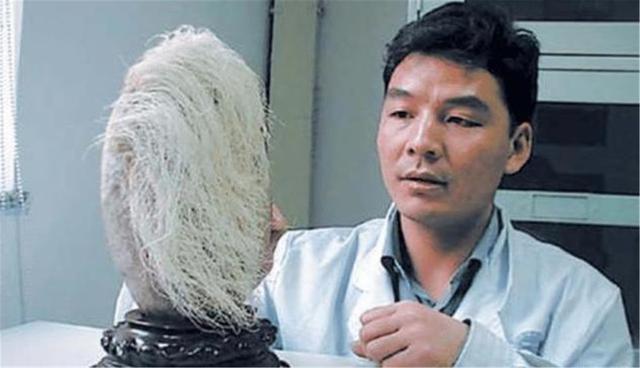 老农捡了块石头，上面长满“白发”，专家看后