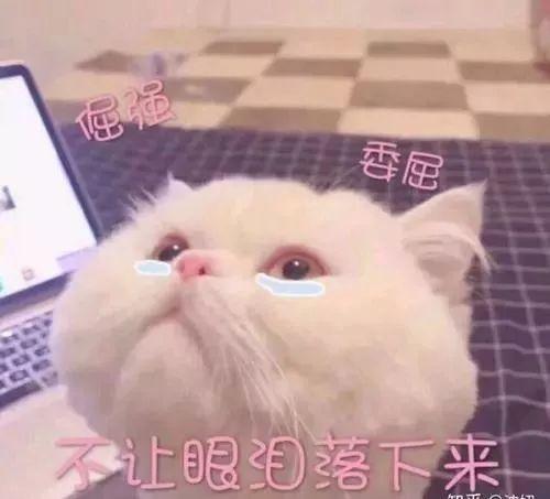 孩子情绪失控时，你的态度很重要