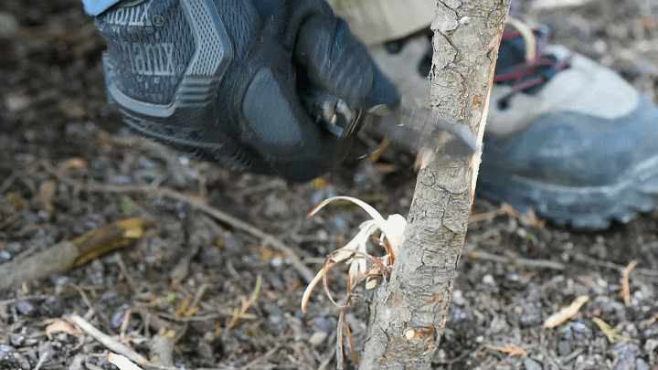 要好 要便宜 还要好看——三刃木7117多功能军刀体验分享