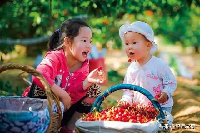 大奖等你拿！第四届“沂蒙花海、金银花乡”金银花暨农民丰收主题摄影大赛征稿开始了……