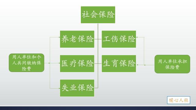 社保缴费基数如何算？社保缴费基数和工资不一致怎么办？