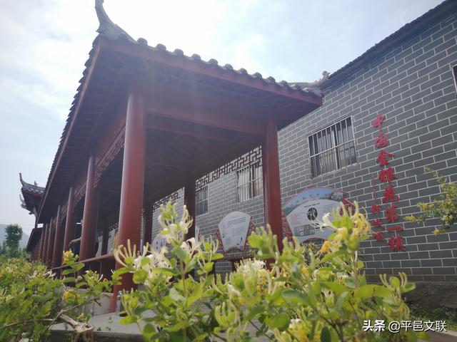 【新时代文明实践】平邑县“5.23”文艺志愿服务活动启动仪式暨第四届金银花农民丰收摄影大赛采风活动举行