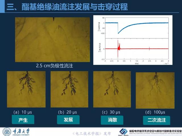 重慶大學(xué)王飛鵬研究員：高性能酯基絕緣油與變壓器應(yīng)用