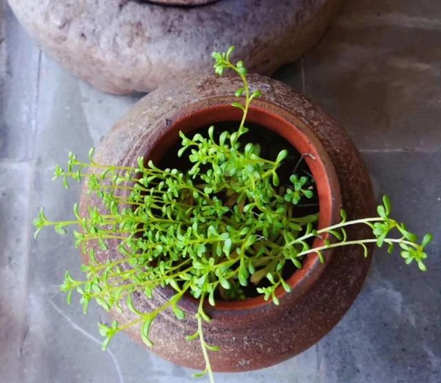 �ֽ�������ʲô��ϵ��