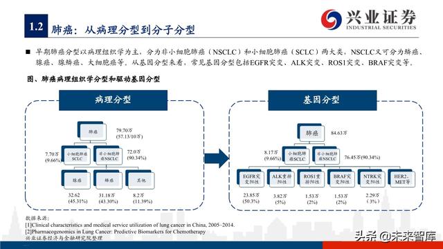 肺癌专题报告：序贯靶向治疗是核心，免疫联合治疗是新常态