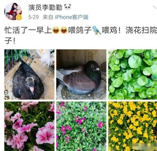 57岁李勤勤出差只吃泡面？素颜皱纹抢镜，嫁3次外国人依旧不洋气