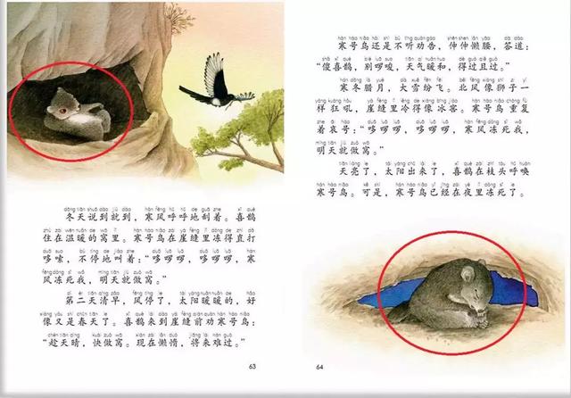 “寒号鸟”真的是鸟，最新版教科书的“修订”是错的？