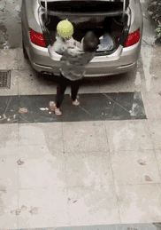 再来一波动图分享，别问我为什么上班笑出猪叫