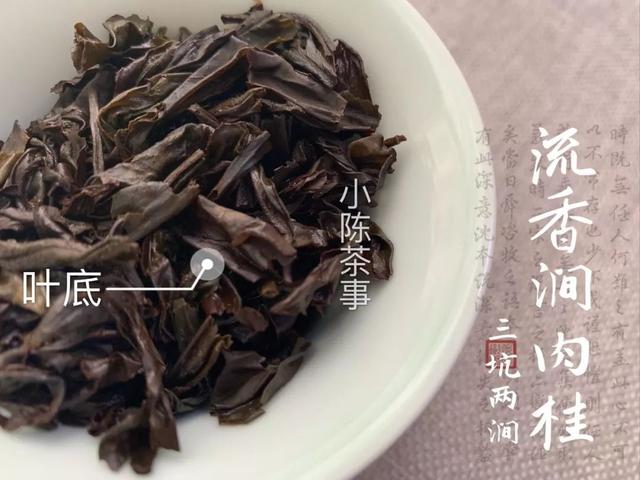 科普：武夷正岩肉桂的桂皮香，究竟是种什么味道