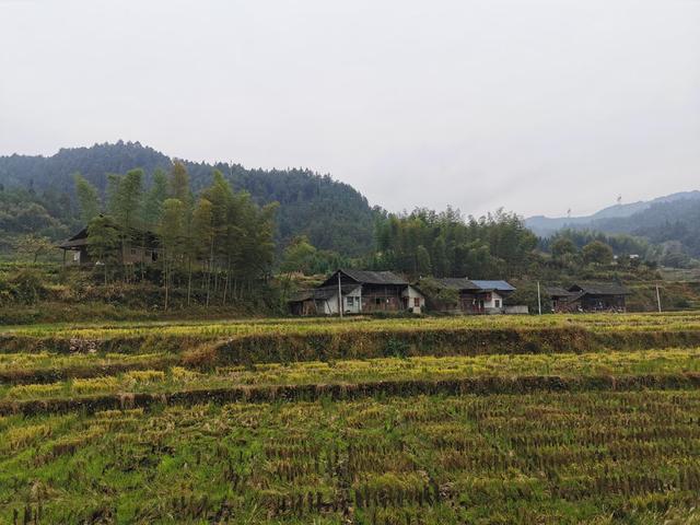 摩旅湘西，单人单车翻越湖南第一大山，雨雾中的雪峰山奇秀险峻