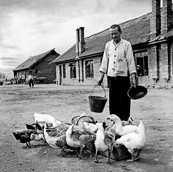 难得一见的上世纪50年代农村老照片