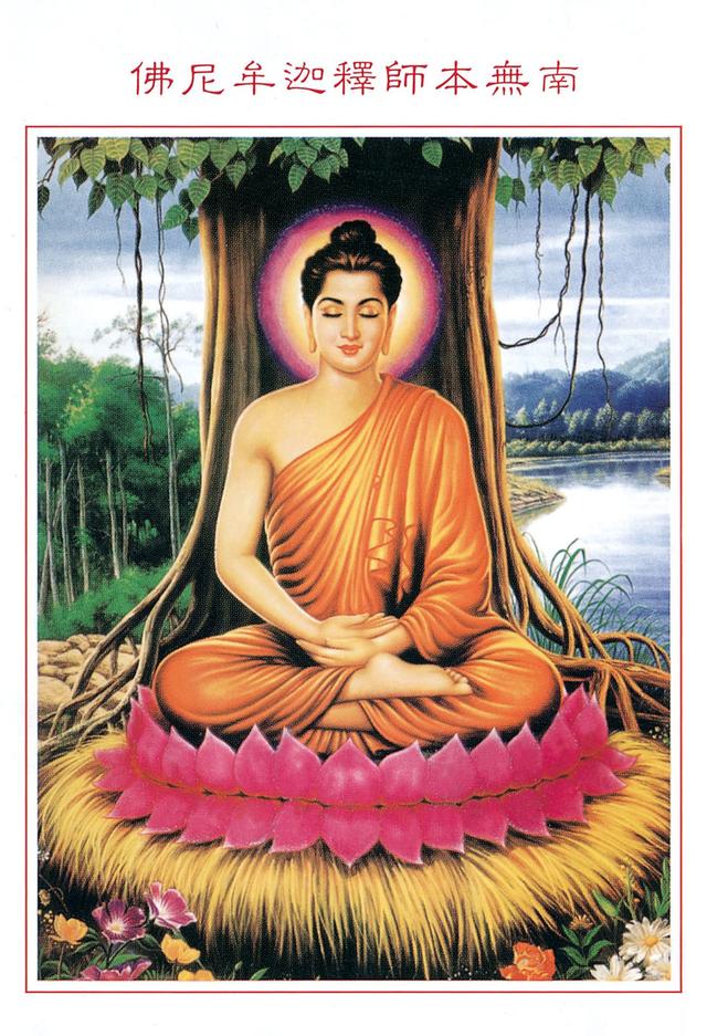 �������и�������Ĳ�����