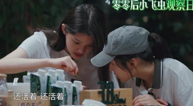 欧阳娜娜杯子里进小飞虫，看清张子枫反应，才知她有多么善良