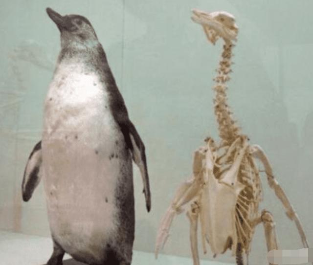 “不要和女生合影，她们P图可想不到你”差点认不出来，哈哈哈