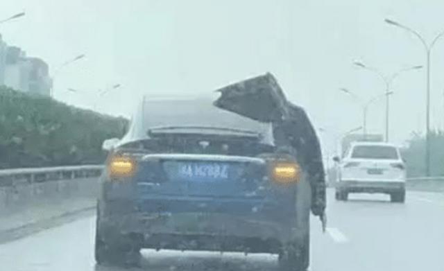 特斯拉的“遮羞布”被大雨掀开，车主：我想关门，可实力不允许