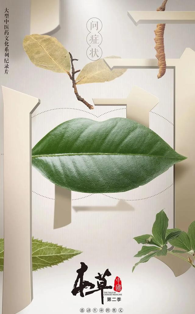 弘扬中医药文化 助力健康中国-山东有线享TV精彩纪录片引领我们走进中医药，选择相信并使用中医药！