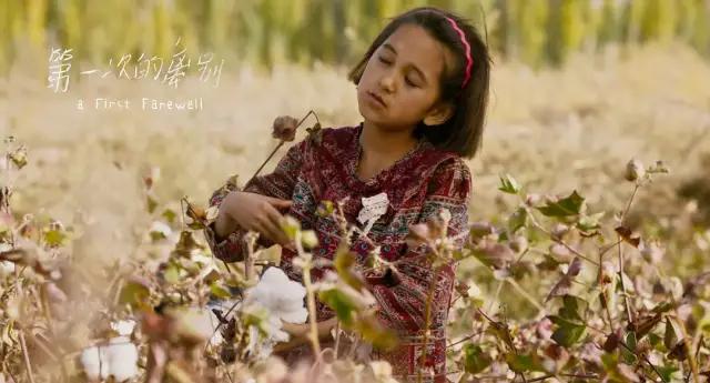 首批|影院复工后首批定档新片 看看有没你喜欢的影片?