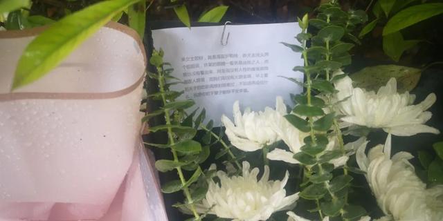 杭州杀妻嫌犯曾掐前妻脖子闹离婚，前妻闺蜜之女死亡旧案已提请警方重新调查