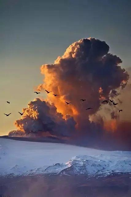 ���������߱���������ϧ