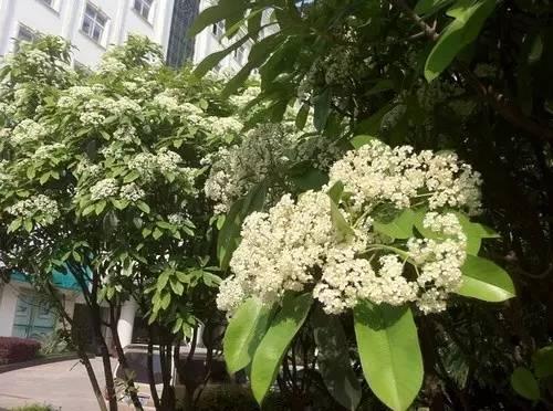 武汉藏着这9个天大的秘密！90%的武汉人都不知道