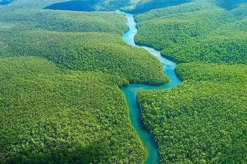 看起来是绿色天堂，实则是人类禁区的亚马逊雨林到底有多恐惧？