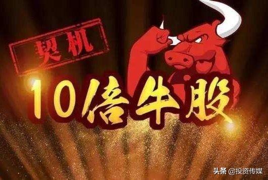 2020年最看好的10大芯片龍頭股，未來有望成為10倍大牛股?。ǜ矫麊我挥[）