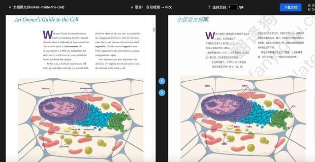 研究生私藏的论文翻译神器，不费吹灰之力读外文文献