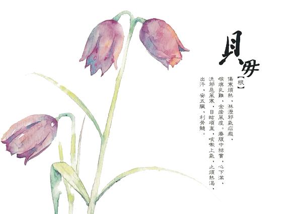 弘扬中医药文化 助力健康中国-山东有线享TV精彩纪录片引领我们走进中医药，选择相信并使用中医药！