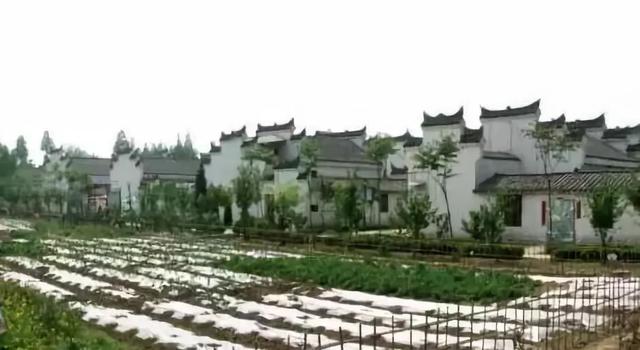 武漢這4類人恭喜了！國(guó)家出錢給你蓋房子！快看你符合條件嗎？