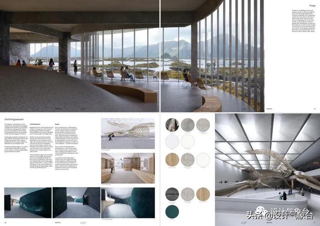 BIG惜败！再牛的方案也比不过一头鲸