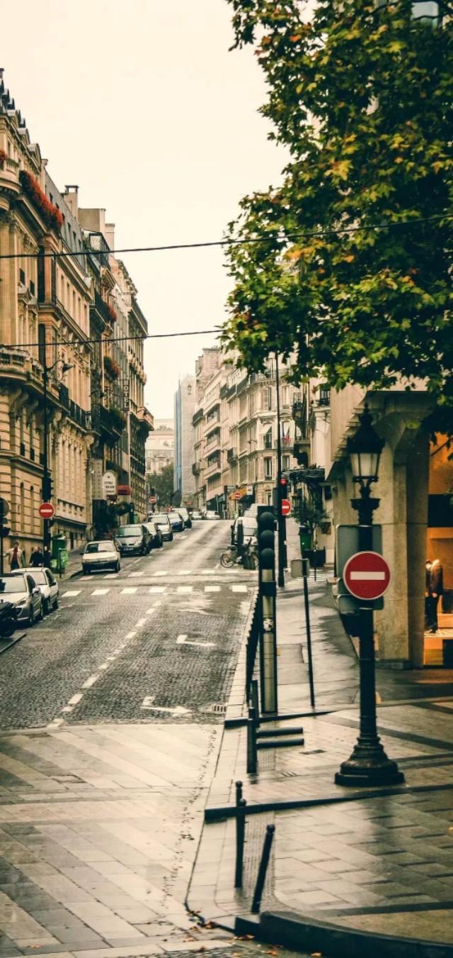 希望国人别再跪着了，站着看世界不好吗