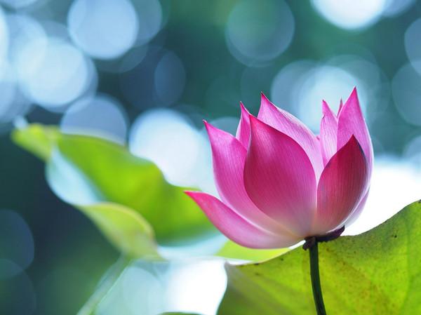 �������ƣ���̸����֮��