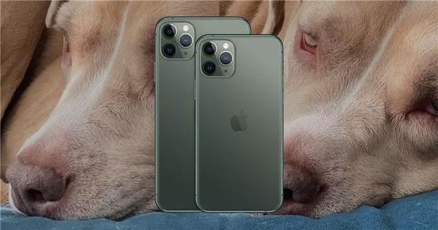 iOS 13.2正式推送，一波新功能来袭，但还有个大Bug
