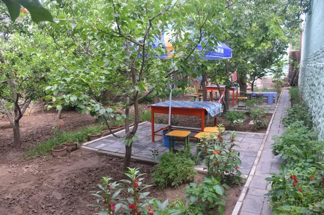 凝聚巾帼力量 助力文明城市创建