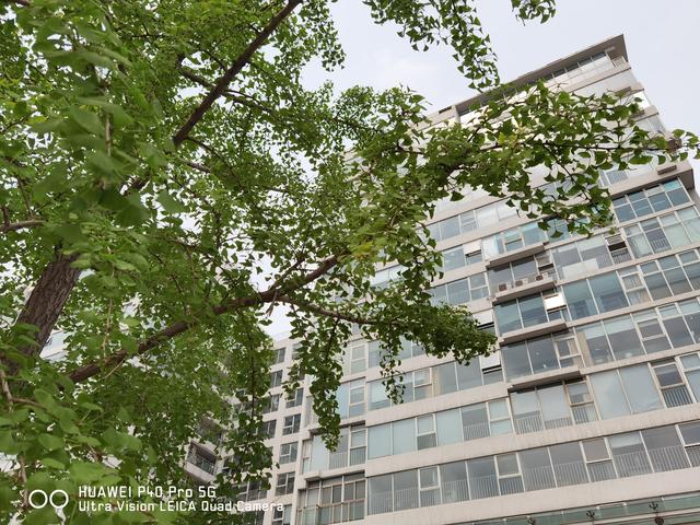 华为P40 Pro体验：用手机拍出好照片，其实真的很