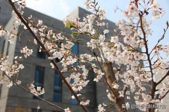 煙臺(tái)唯一現(xiàn)房現(xiàn)證花園獨(dú)棟獨(dú)“墅”一“幟”