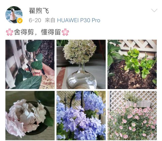 雷佳音娇妻晒跳舞视频，小蛮腰抢镜，跳舞又A又飒超有范