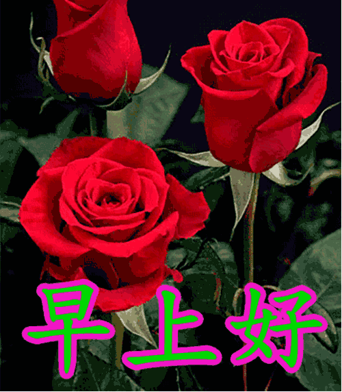 问候|早上好的问候短信 夏天暖心的早安祝福问候语