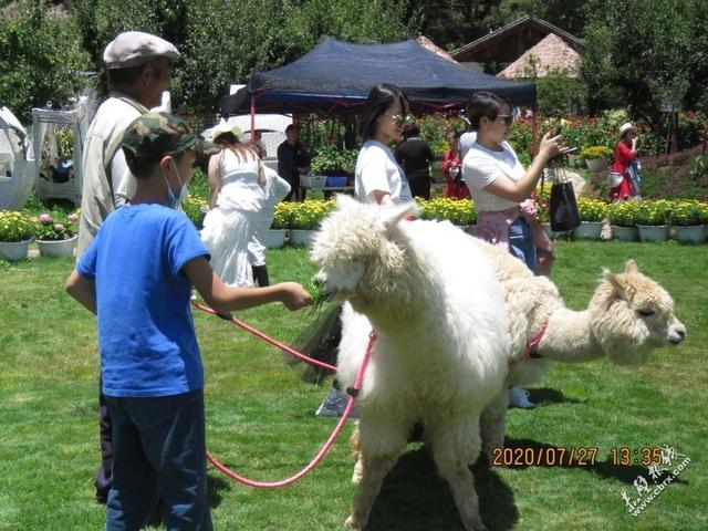 旅游旅行在丽江！人间值得