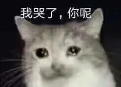 果然女生要比男孩子懂的怎么宠女生，哈哈哈哈