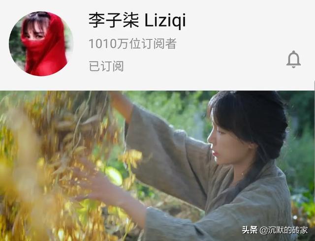 辞掉工作当网红，为赚钱他们逆流而上，真的服