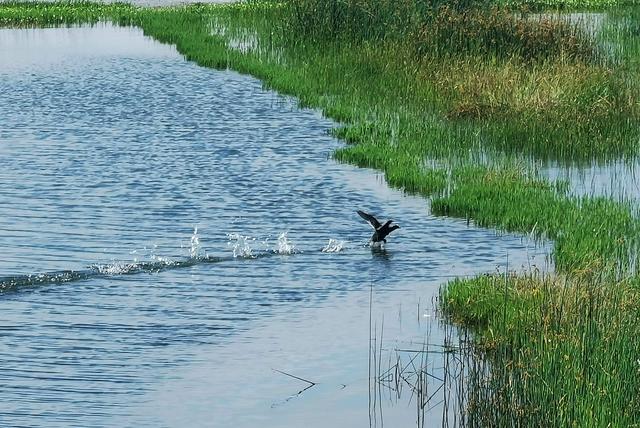 「山里」贵州回应山里有龙吟 专家说出真相让人大跌眼镜