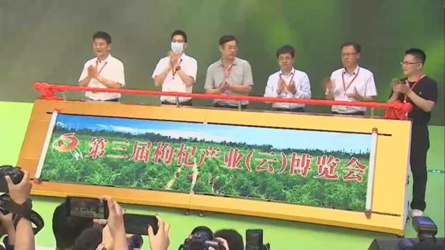第三届枸杞产业（云）博览会开幕，宁夏“红”竞秀“云端”