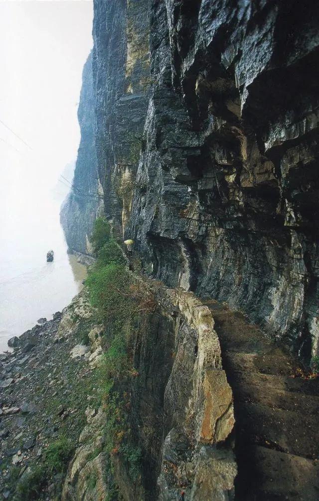 《中餐厅4》开播在即，这条宝藏路线比赵丽颖还有诱惑力