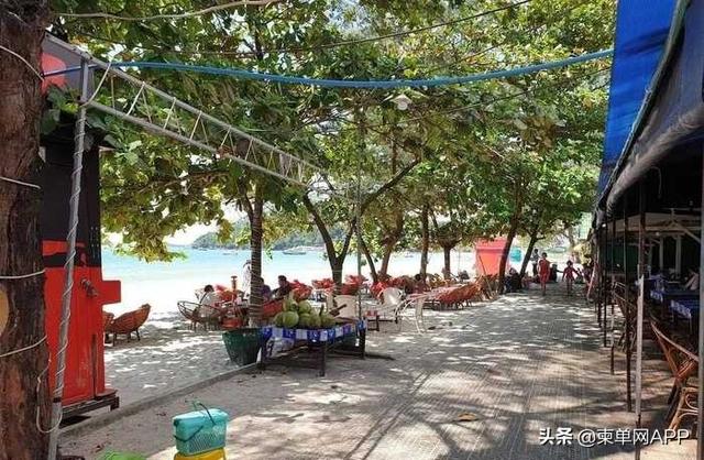 “花了500万，我在西港买了个教训！”