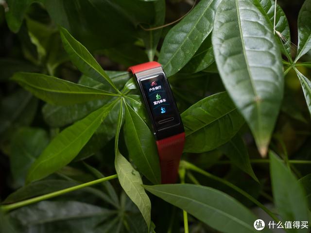 独立GPS + 血氧检测功能：HUAWEI 华为手环4 Pro上手体验
