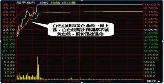 一代“股神”的陨落：像“麻雀”一样炒股,坐着