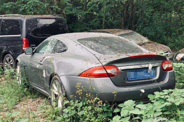小树林成“豪车坟场”，百万豪车落灰无人敢动
