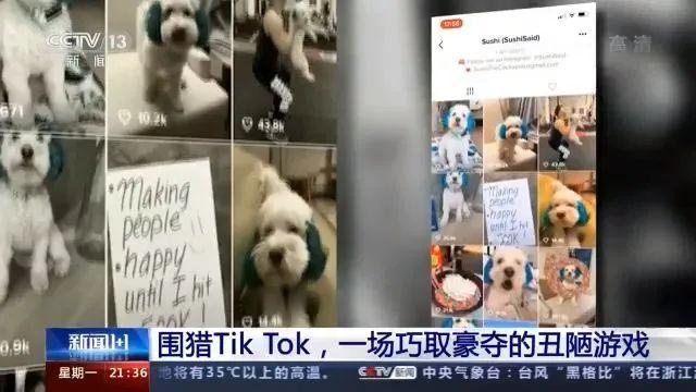 明抢！特朗普：TikTok9月15日前不卖给美企就关门