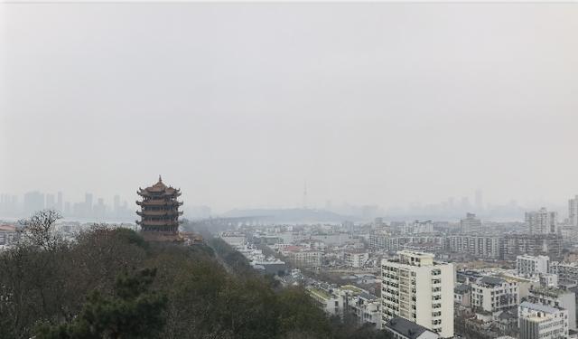 美国全球布局病毒研究所，俄罗斯一语道破，里面问题很大